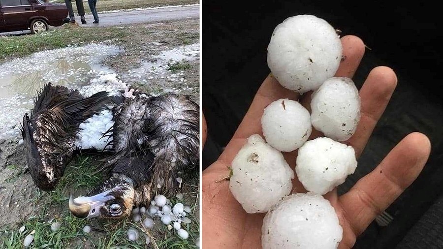 Fot. Facebook / Severe Weather Europe / Met Hirado.