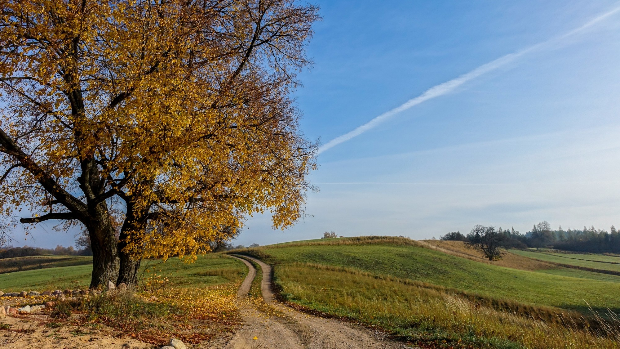 Jesień w górach, lasach i nad jeziorami - zdjęcie 32