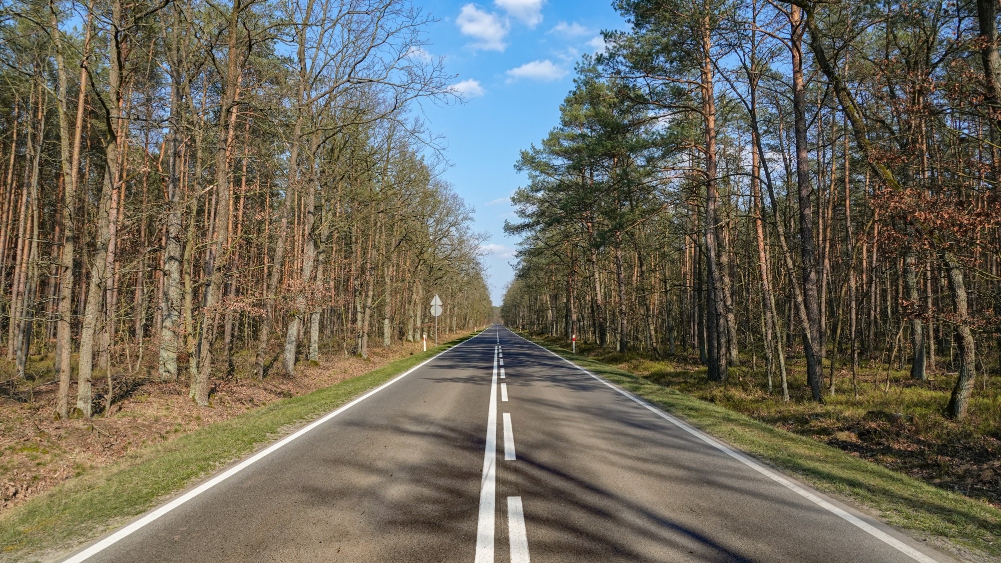 Marzec w obiektywie - zdjęcie 24