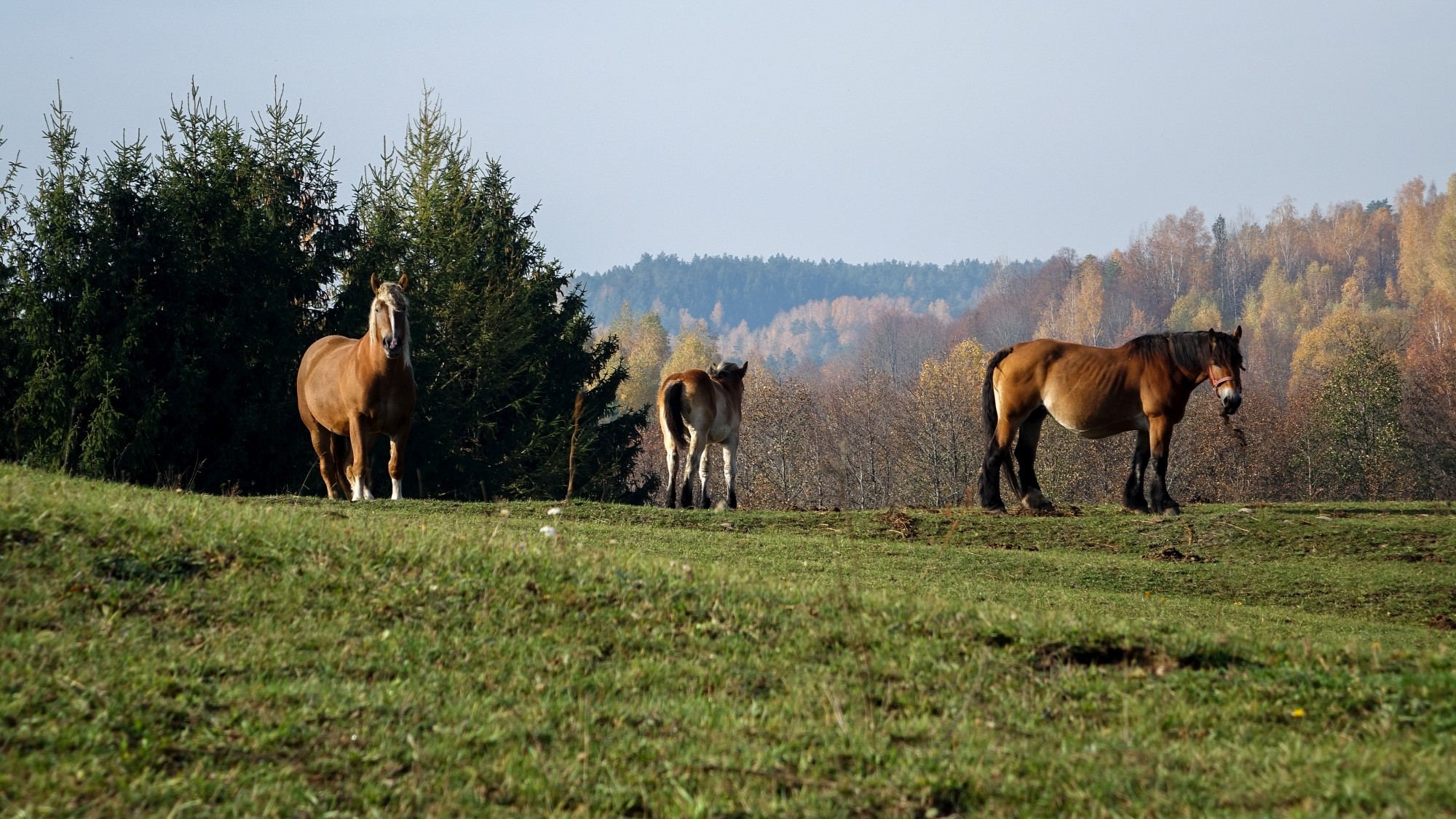 Październik w obiektywie - zdjęcie 55
