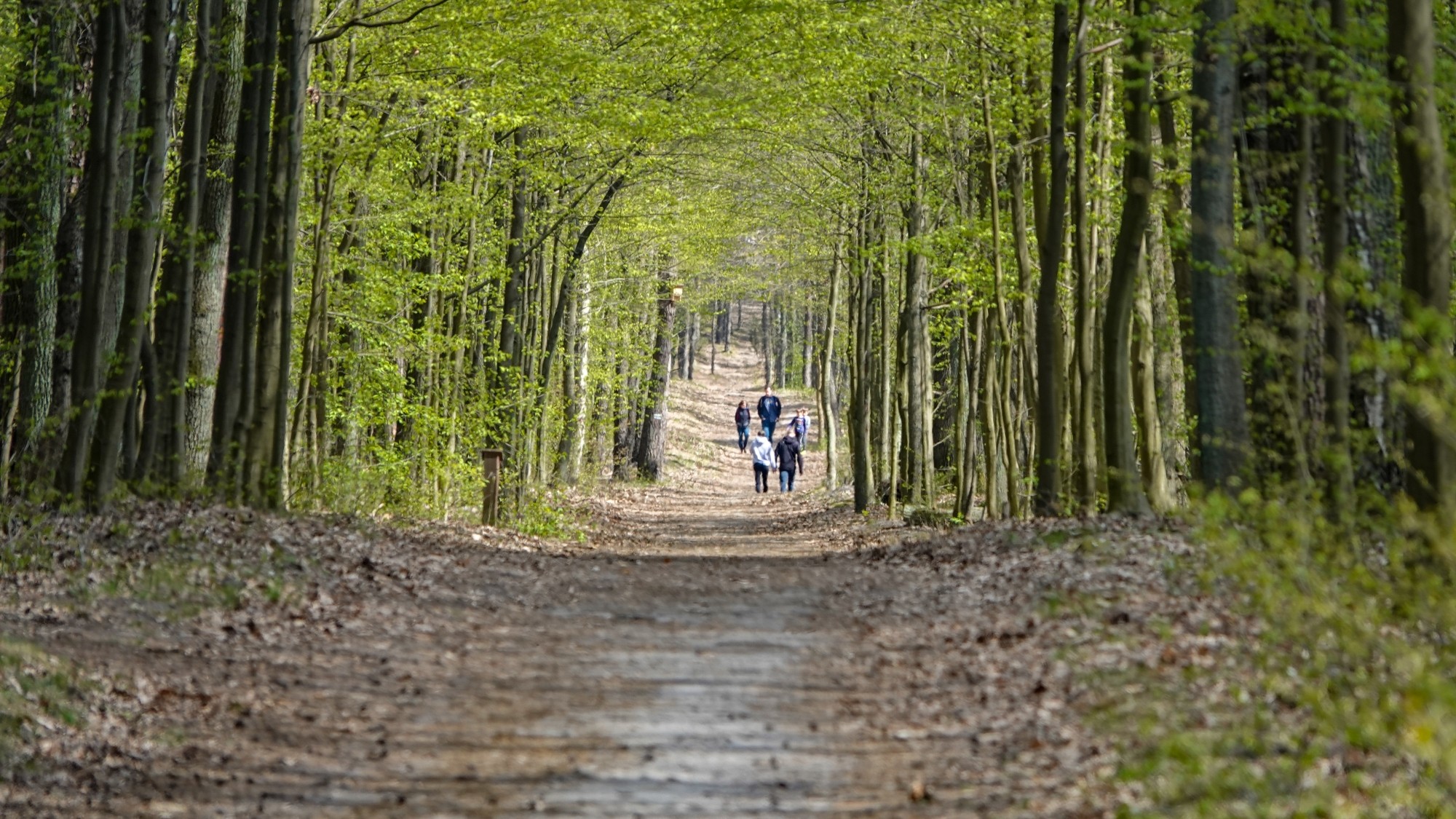 Kwiecień w obiektywie - zdjęcie 62