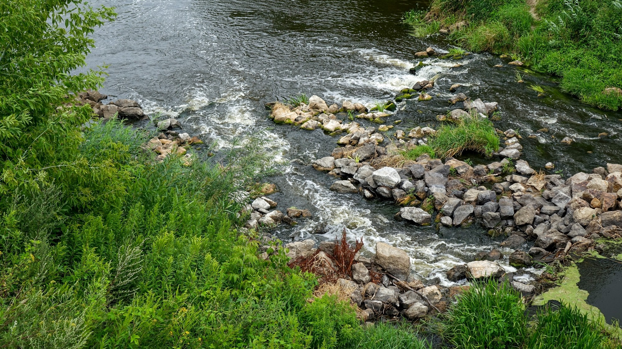 Lipiec w obiektywie - zdjęcie 26