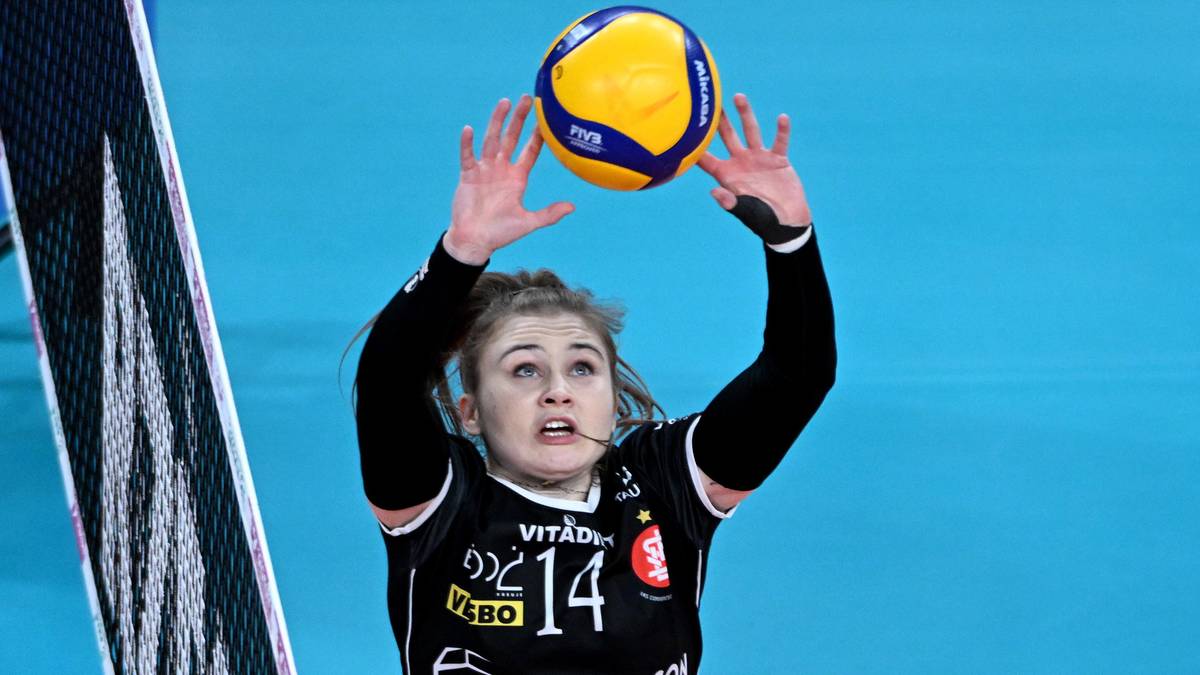 Siatkarka w czarnej koszulce z numerem 14 na niebieskim tle, unosząca piłkę do siatkówki nad głową.