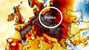 18-06-2025 06:00 Amerykanie ostrzegają Polskę przed tropikalną falą upałów. Prognozy są alarmujące