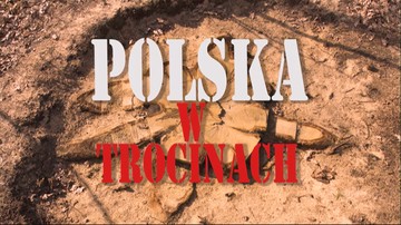 "Polska w trocinach" - nieopublikowany spot PO, do którego dotarł Polsat News
