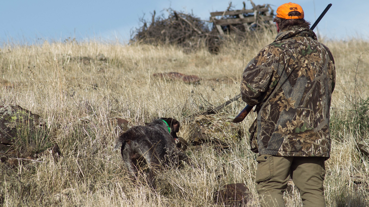 USA: Myśliwy zginął na polowaniu. "Pies nadepnął na naładowaną broń"