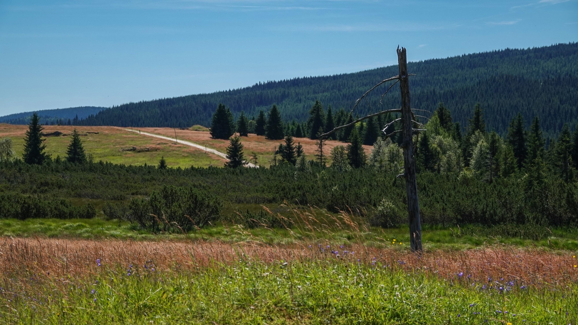 100 najpiękniejszych zdjęć 2020 roku - zdjęcie 103