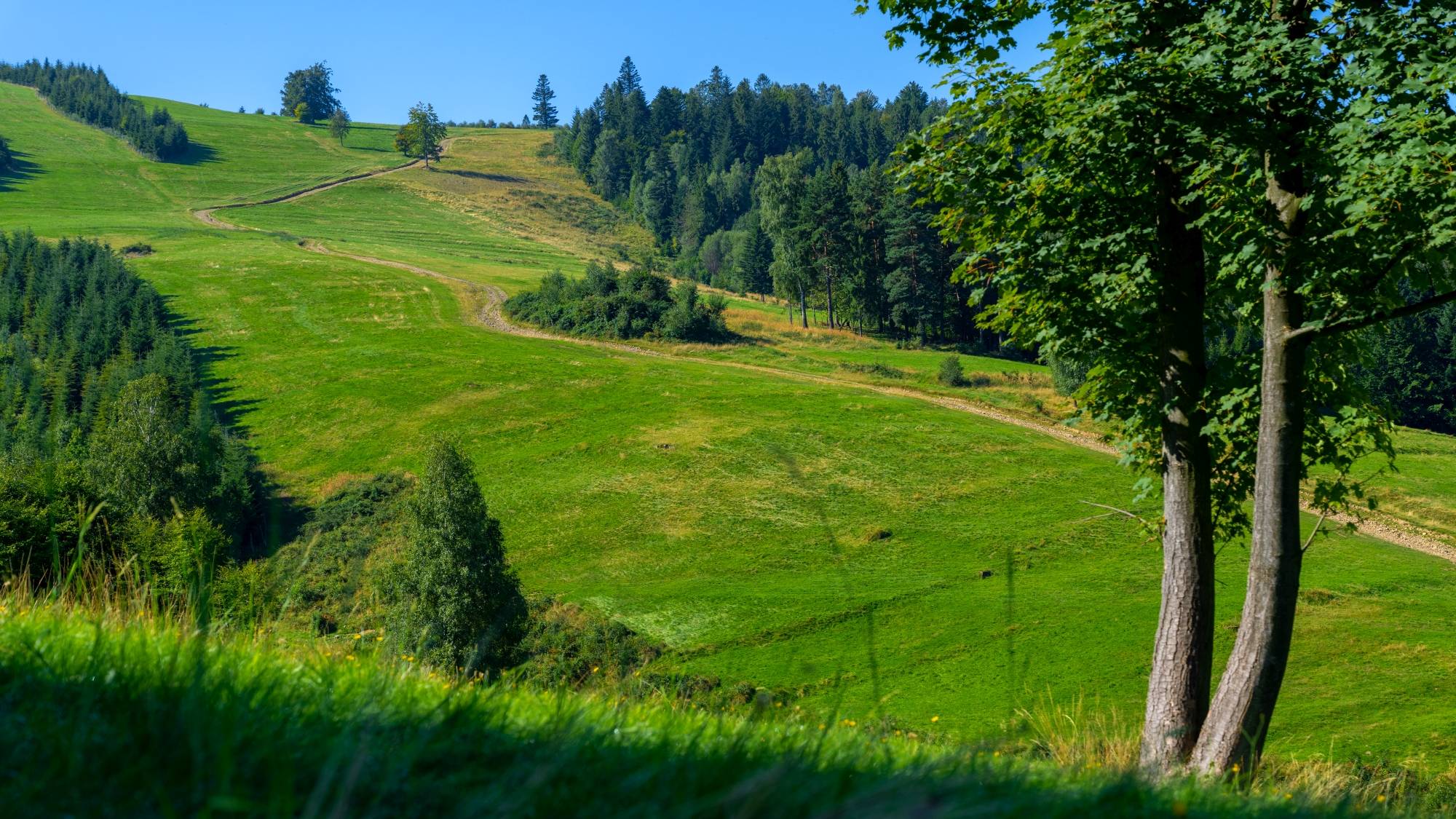 Kolory lata - zdjęcie 28