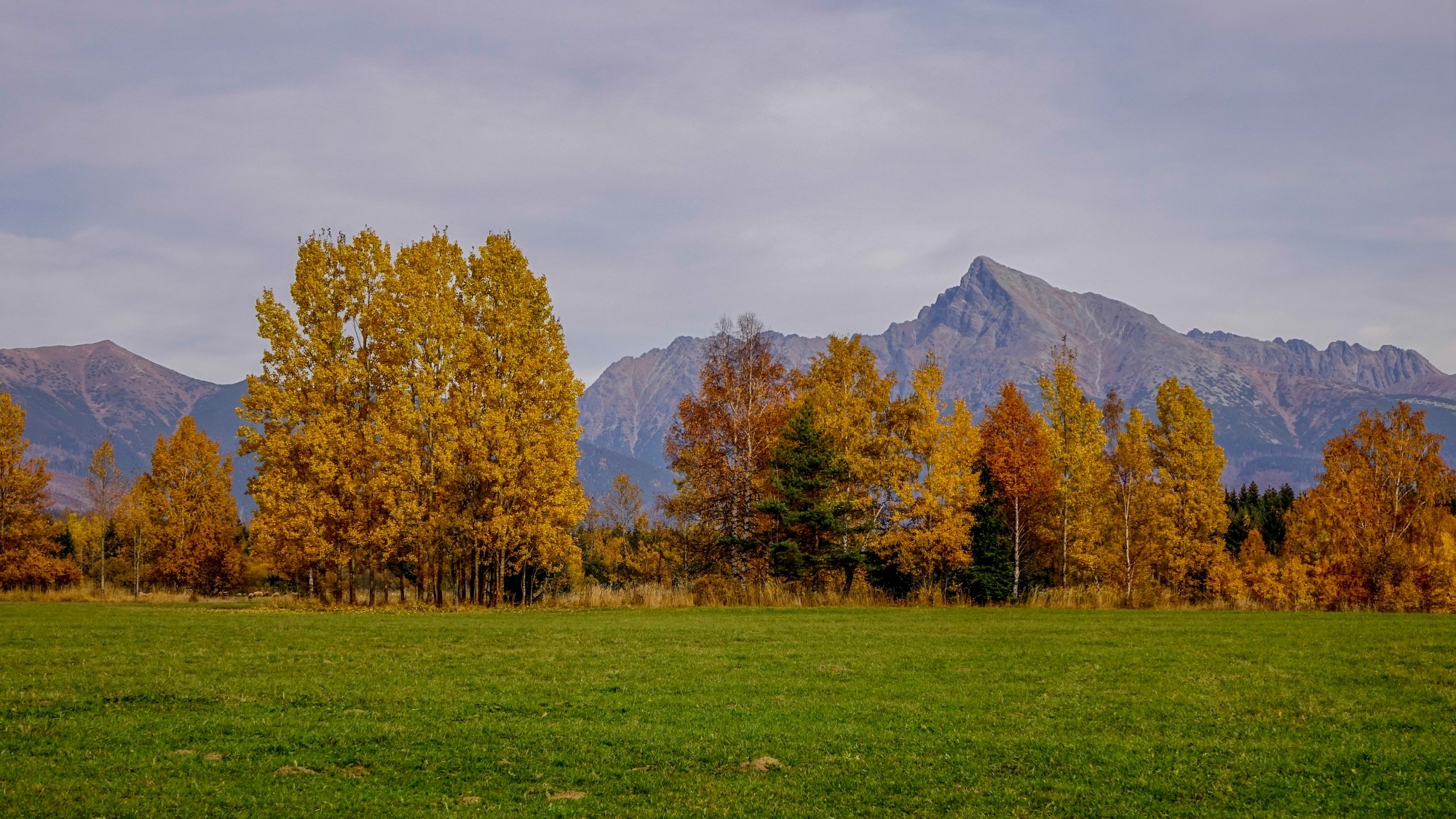 Jesień w górach, lasach i nad jeziorami - zdjęcie 30