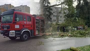 Burze nad krajem. Straż pożarna odpowiada na falę zdarzeń