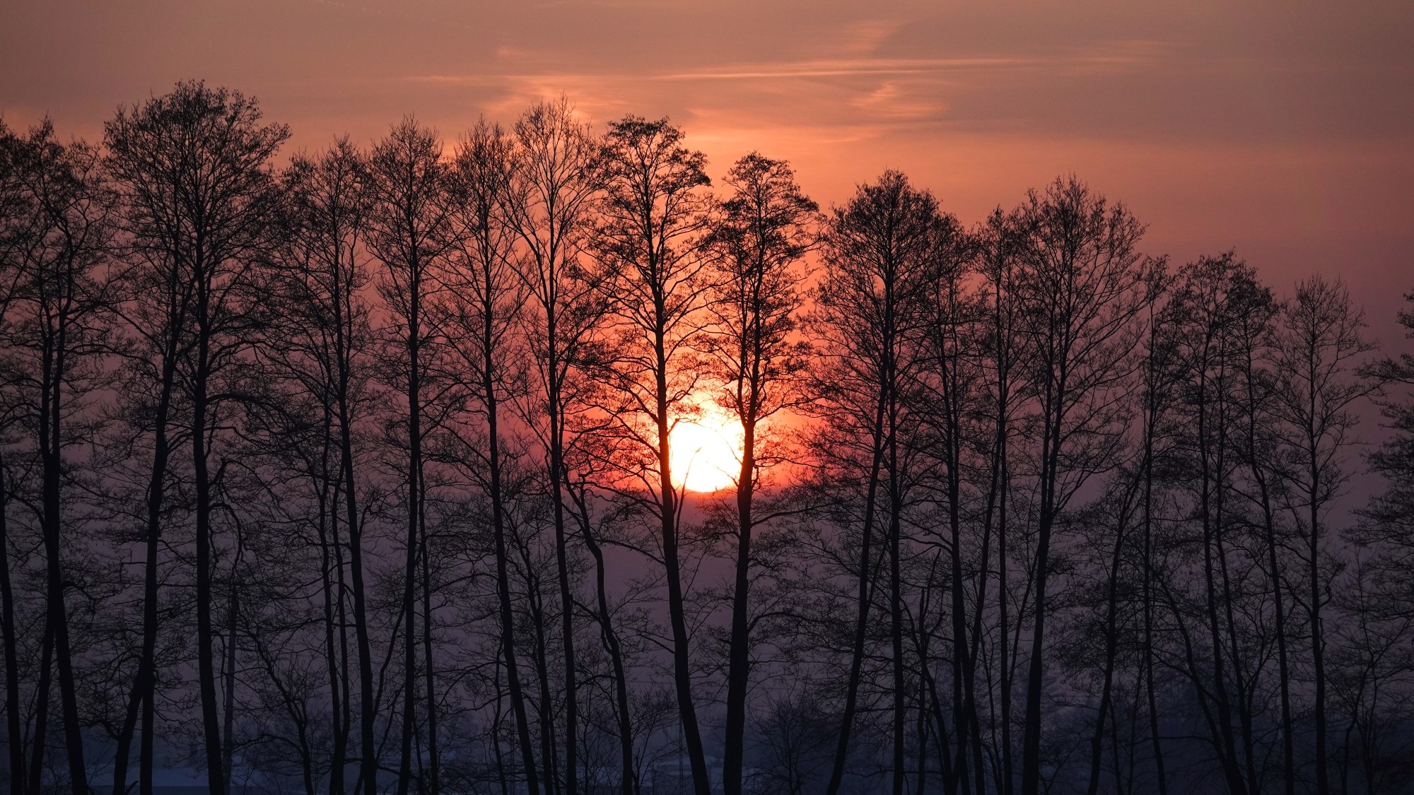 Na lodowym szlaku - zdjęcie 21