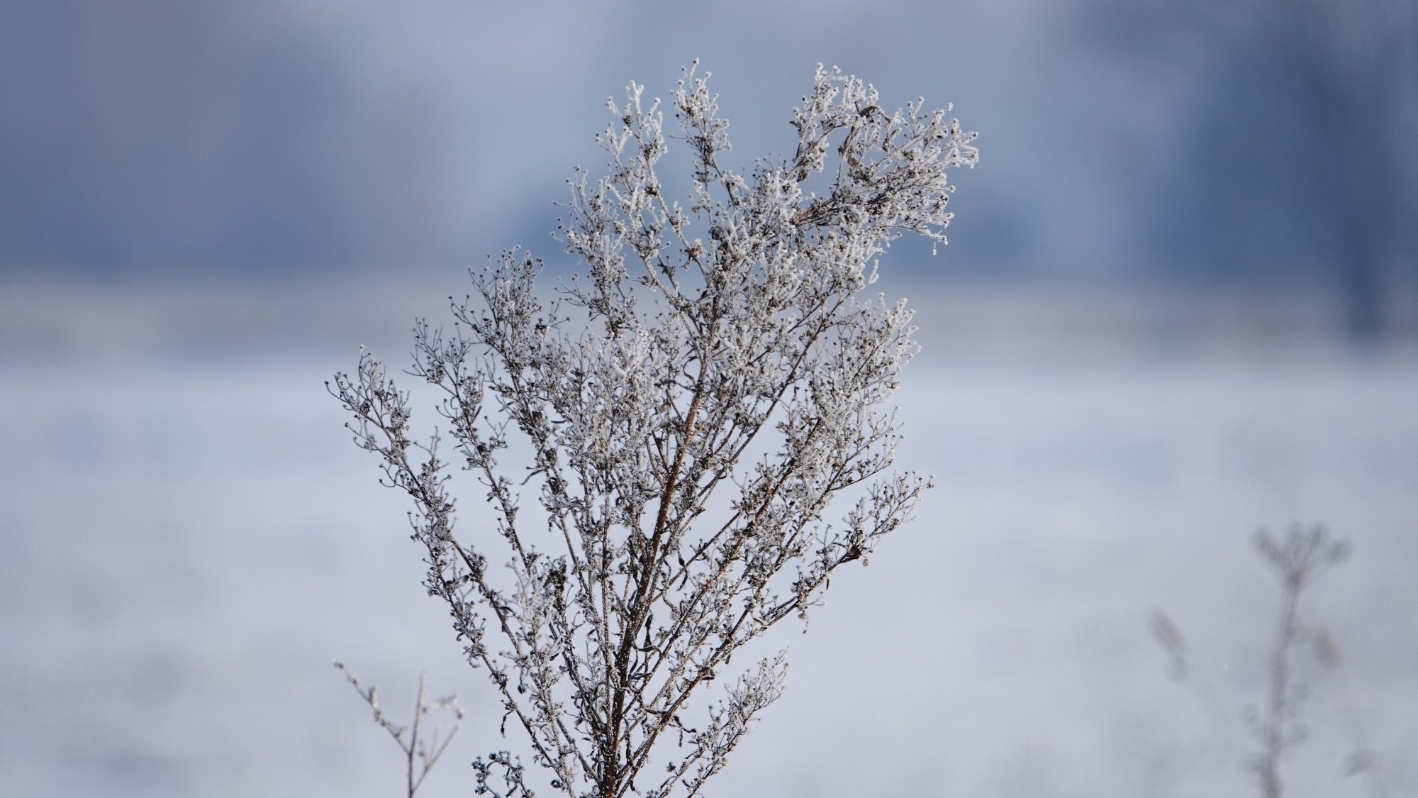 Na lodowym szlaku - zdjęcie 26