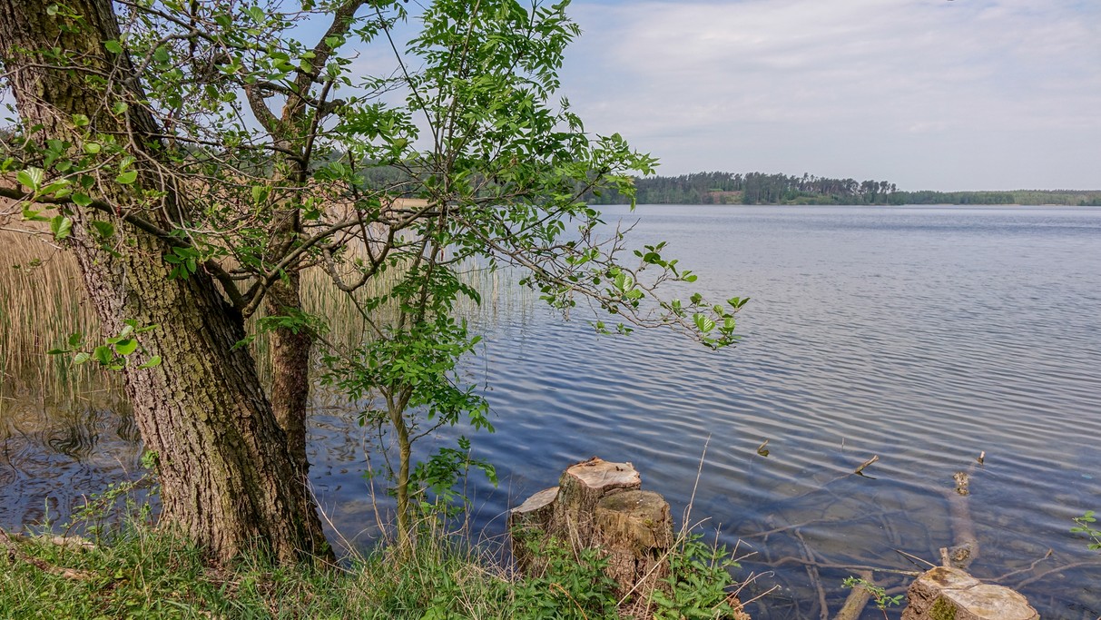 Nad morzem, jeziorami i rzekami - zdjęcie 92