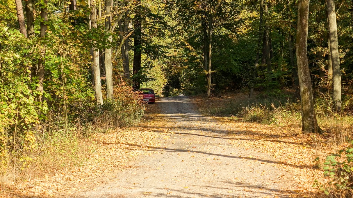 Podróż przez jesienną Polskę - zdjęcie 66