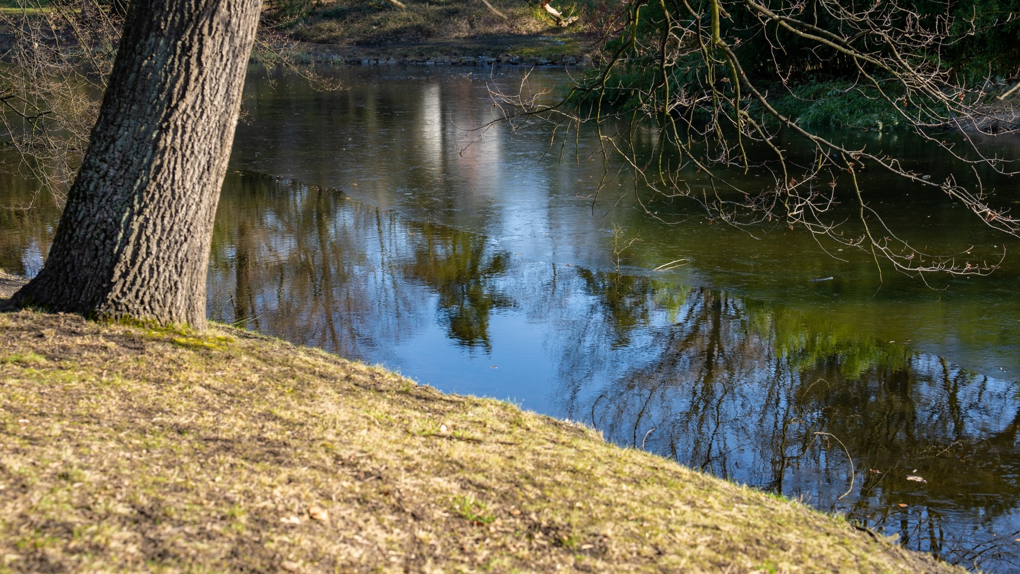 Wiosna coraz bliżej - zdjęcie 30