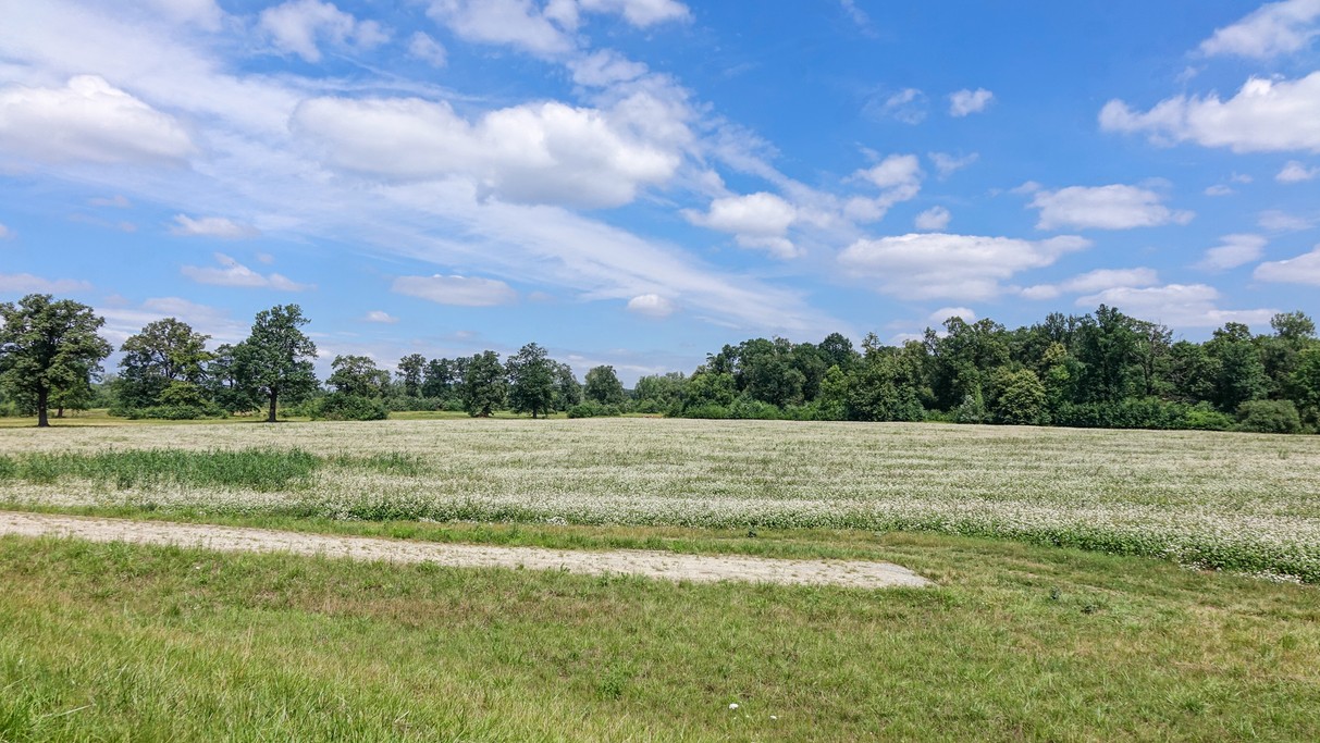 Lipiec w obiektywie - zdjęcie 41