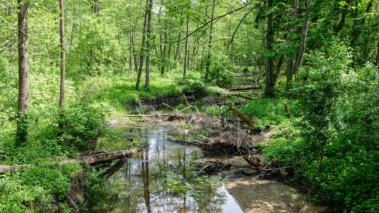 Polskie krajobrazy w 2018 roku - zdjęcie 47