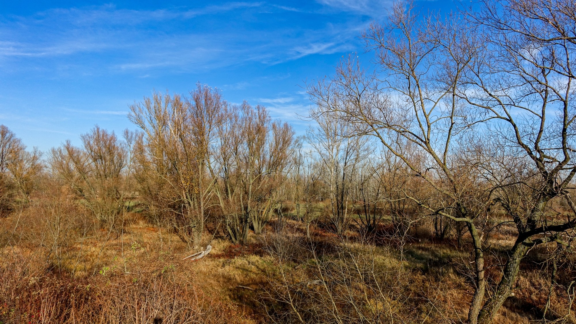 Listopad w obiektywie - zdjęcie 20