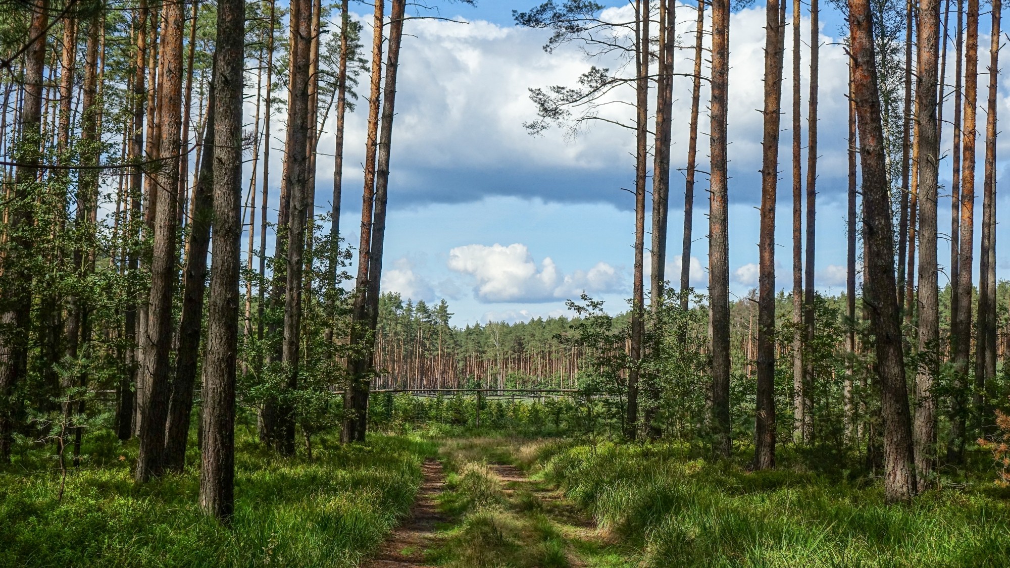 Wrzesień w obiektywie - zdjęcie 28