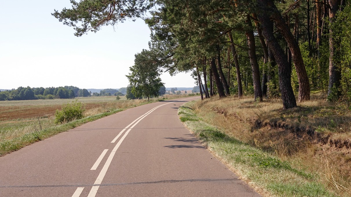 Lipiec w obiektywie - zdjęcie 48