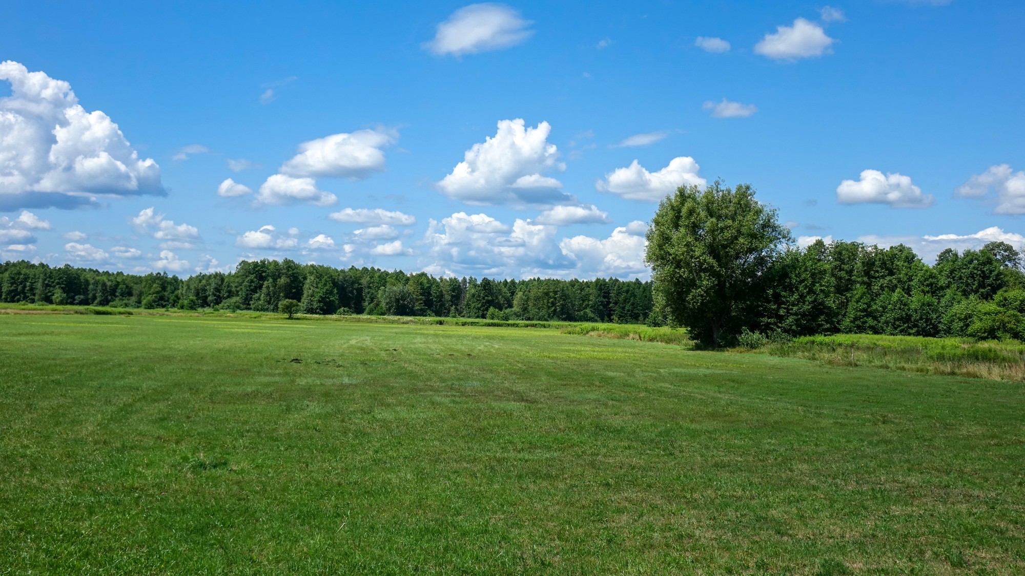 Lipiec w obiektywie - zdjęcie 44