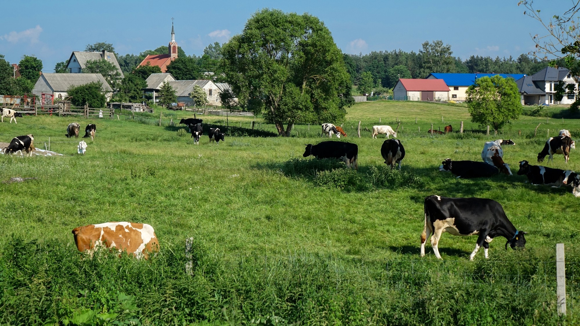 Czerwiec w obiektywie - zdjęcie 18