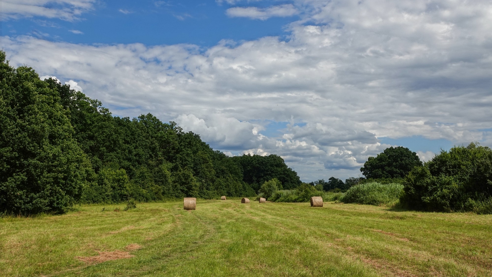 Podróż przez polską prowincję - zdjęcie 49
