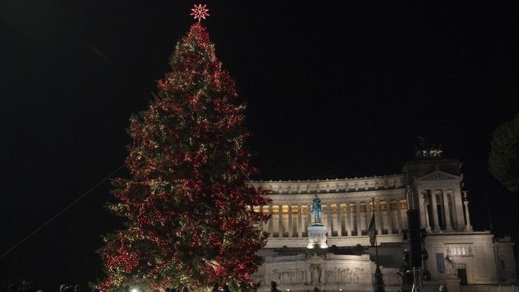 We Włoszech sprzedano setki świątecznych choinek ze zniszczonych lasów