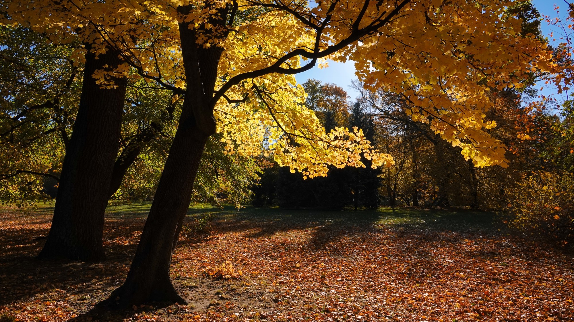 Jesienne klimaty - zdjęcie 5
