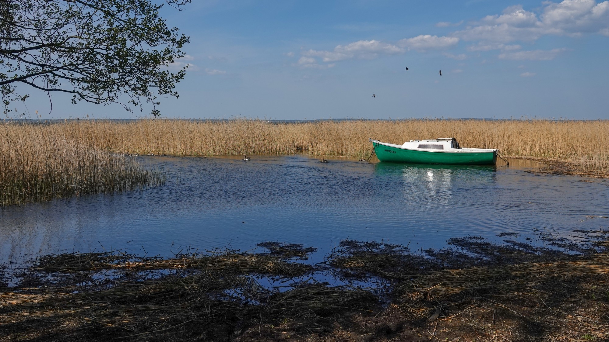W maju jak w raju - zdjęcie 41