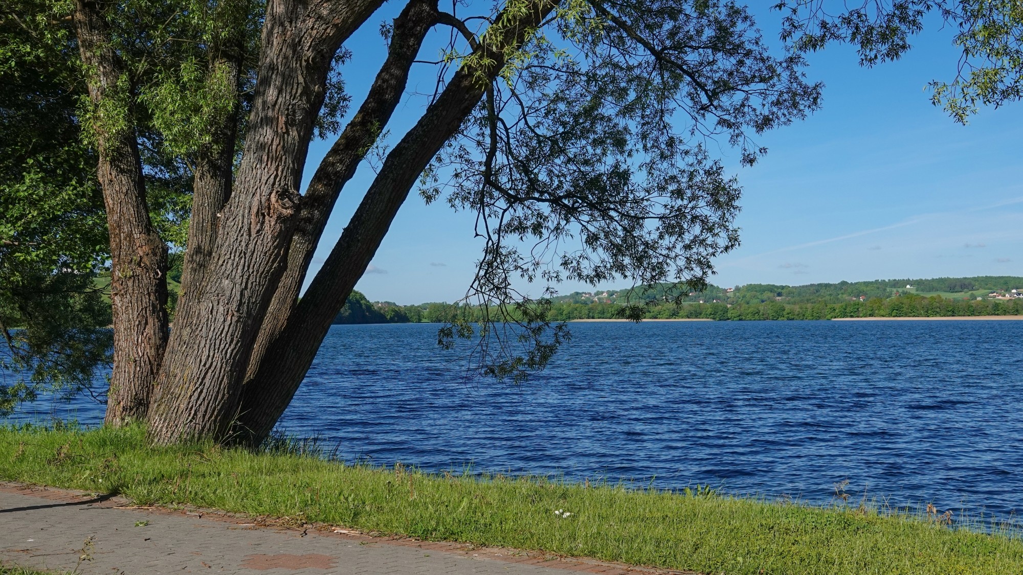 Lato w plenerze - zdjęcie 47