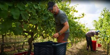 Rolnicy. Tak się żyje u nas na wsi