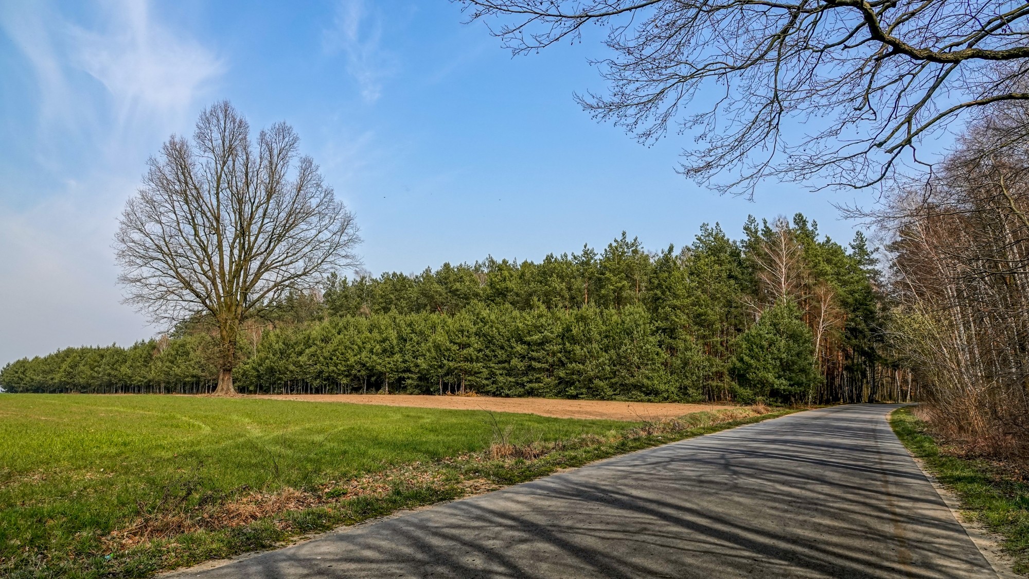 100 najpiękniejszych zdjęć 2020 roku - zdjęcie 70