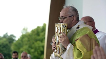 300 tys. osób na papieskiej mszy w Dublinie. Franciszek rozpoczął od aktu pokutnego za pedofilię
