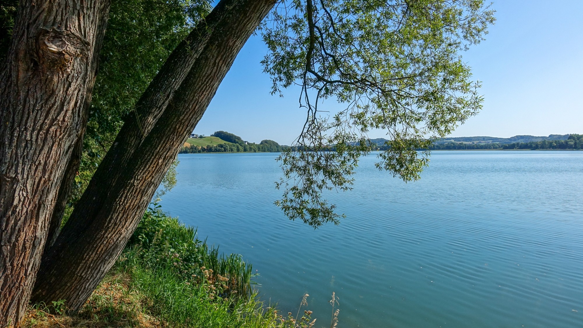 Sierpień w obiektywie - zdjęcie 10