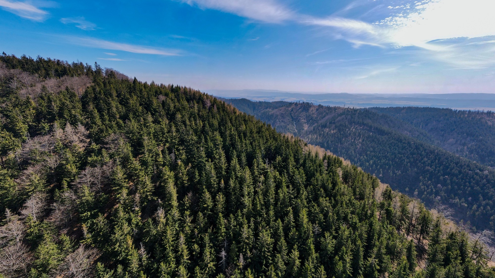 Cuda polskiej natury - zdjęcie 56