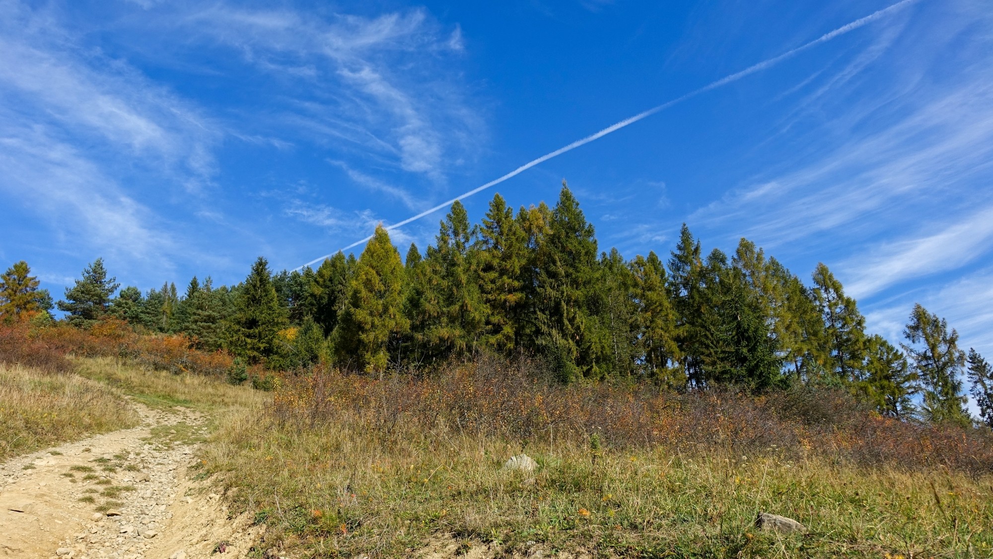 Październik w obiektywie - zdjęcie 35