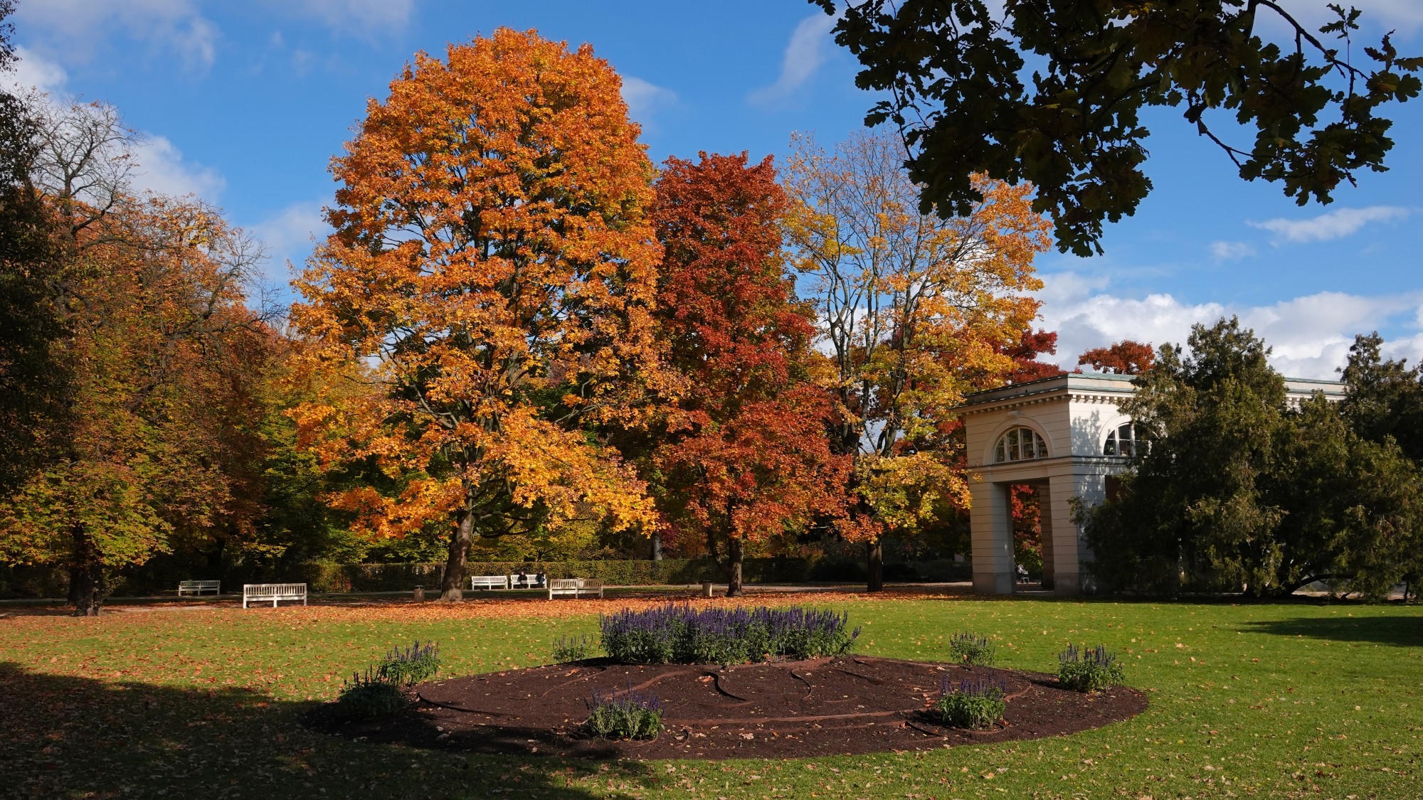 Jesienne klimaty - zdjęcie 21