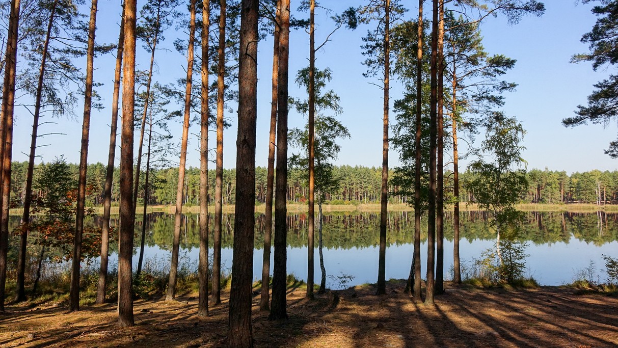 Podróż przez jesienną Polskę - zdjęcie 7