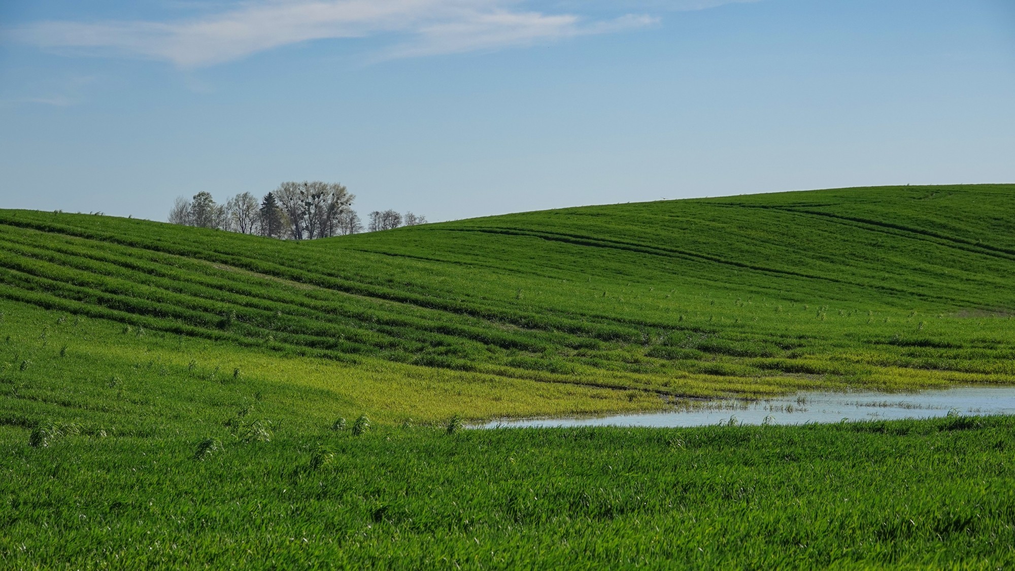 W maju jak w raju - zdjęcie 36