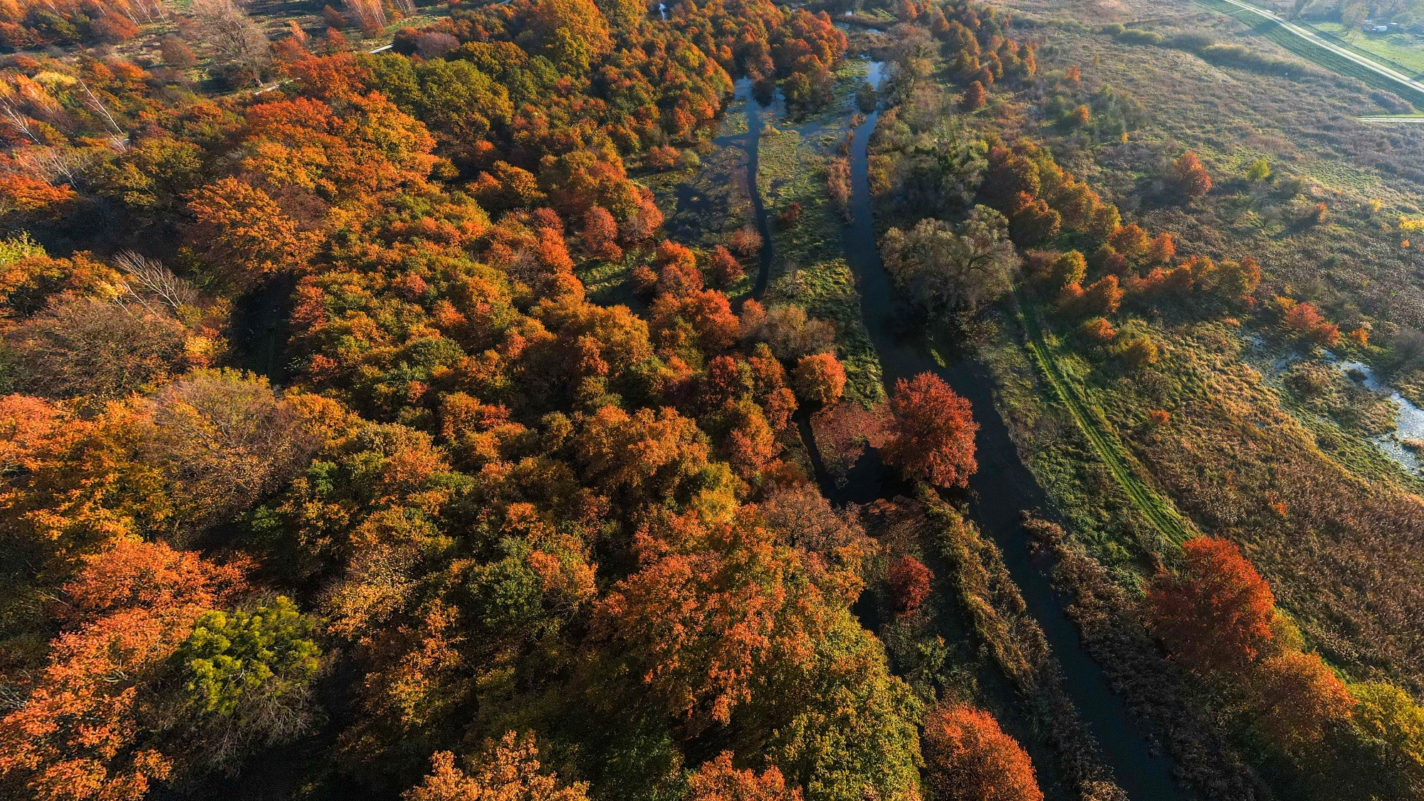 Jesień w Polsce z lotu ptaka - zdjęcie 15