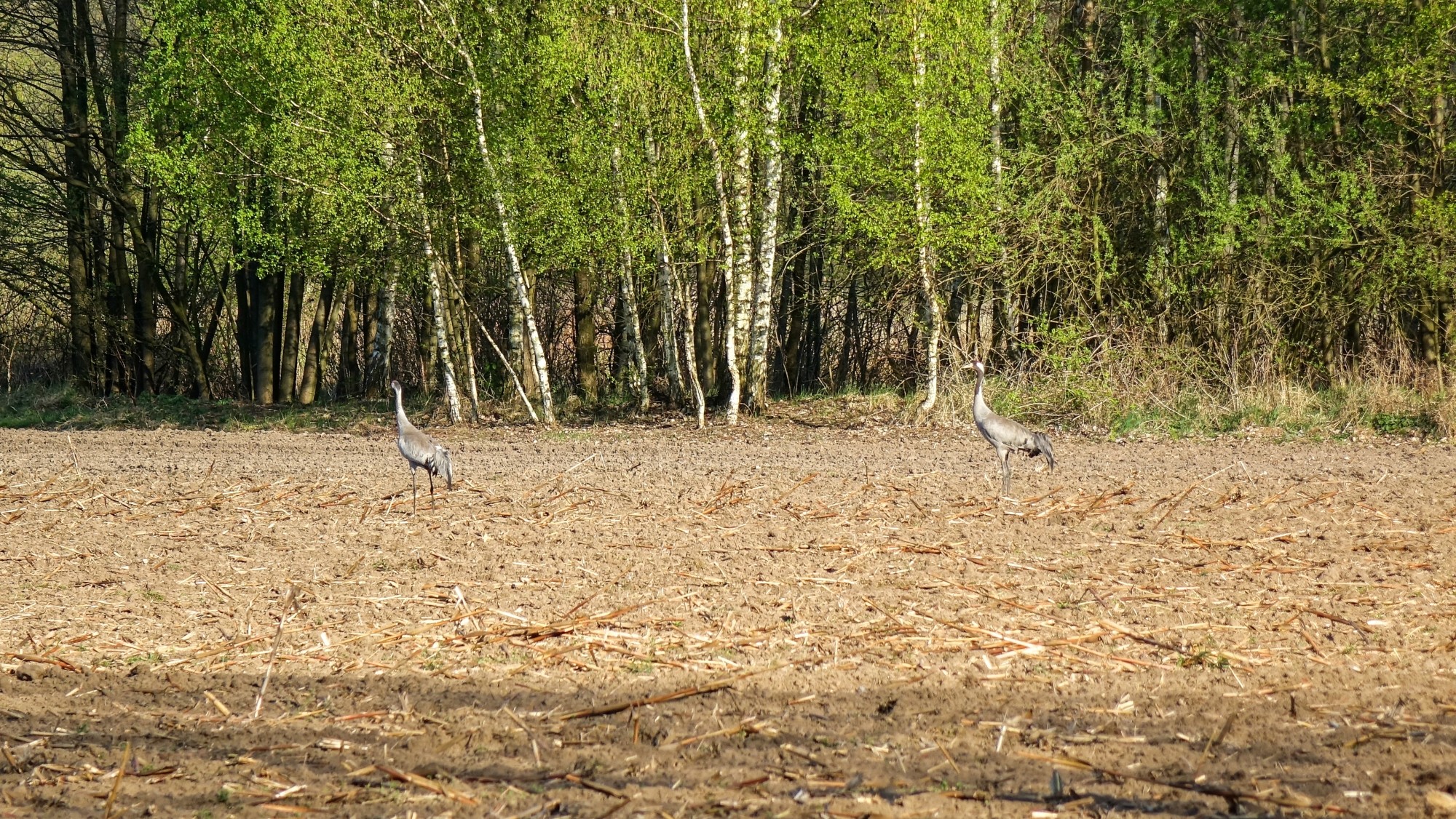Kwiecień w obiektywie - zdjęcie 27