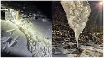 Paczka owinięta folią leżąca na śniegu obok dużego sopla lodu wiszącego z drzewa.