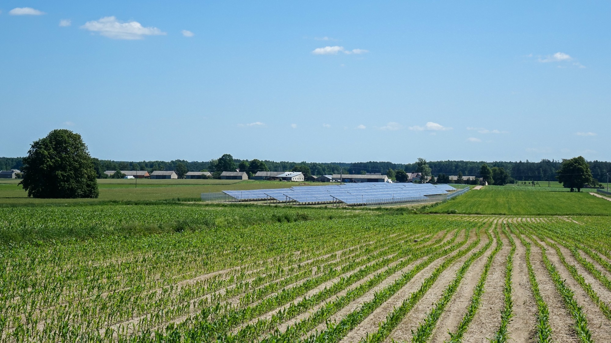 Czerwiec w obiektywie - zdjęcie 13