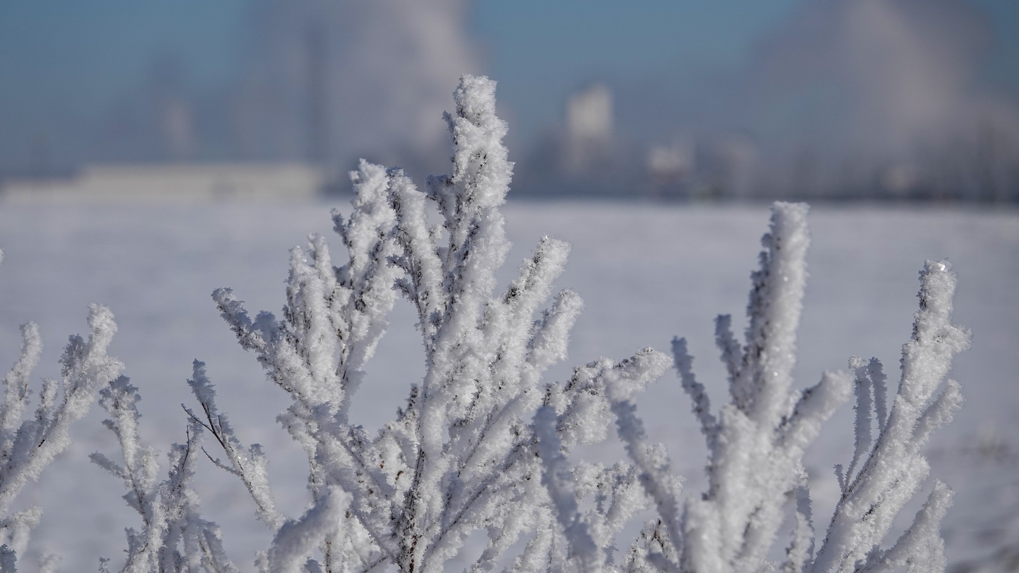 Kraina Narnii - zdjęcie 21