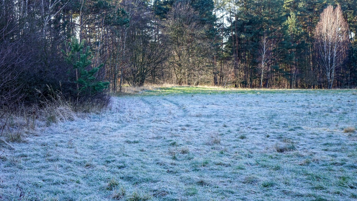 Grudzień w obiektywie - zdjęcie 18