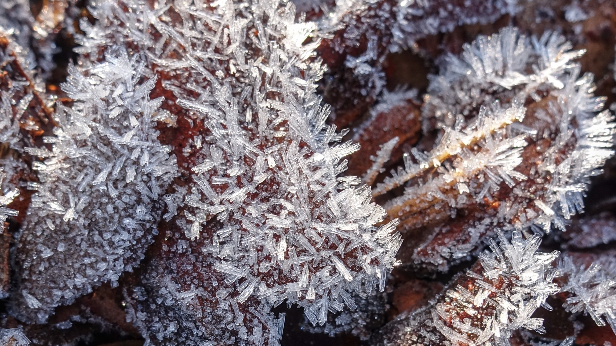 Szron pod lupą - zdjęcie 8