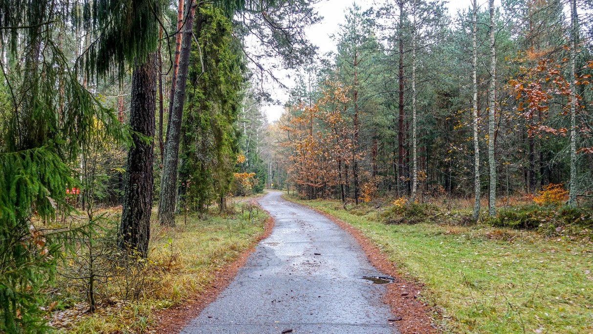 Najpiękniejsze polskie drogi - zdjęcie 24