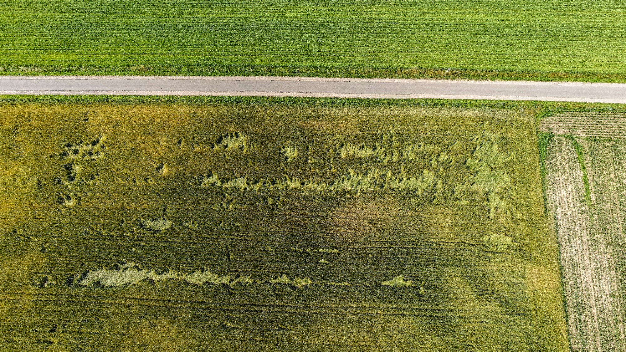 Piękne letnie krajobrazy z lotu ptaka - zdjęcie 15