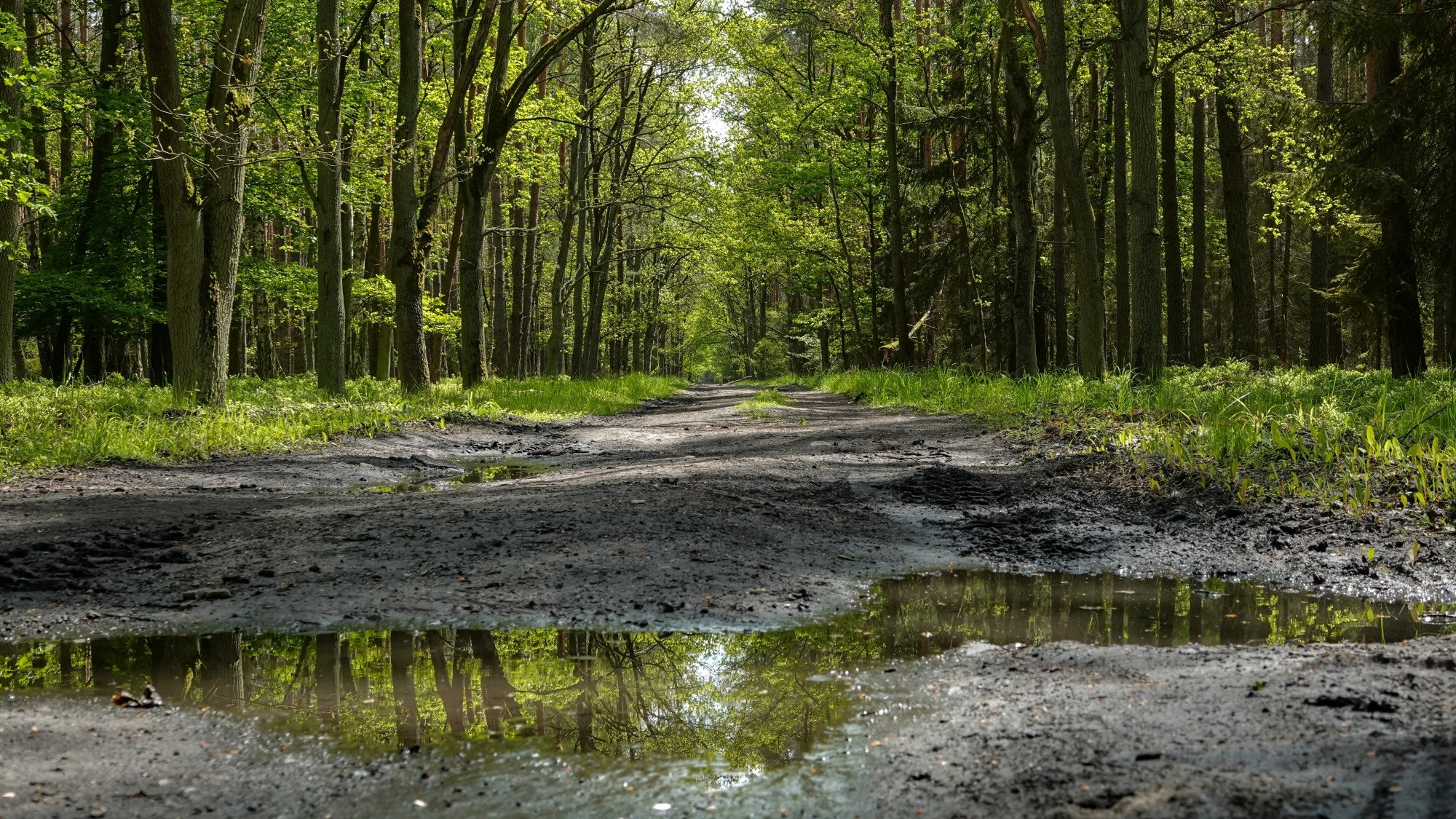 Całe piękno późnej wiosny - zdjęcie 20